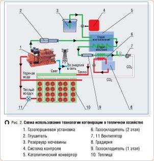 Когенерация в тепличном хозяйстве